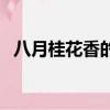 八月桂花香的下一句（八月桂花香的詩句）