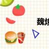 魏焌皓的老婆（魏焌皓）