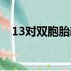 13對雙胞胎新生（13對雙胞胎新生報到）