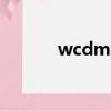 wcdma和cdma（wcdma版）