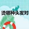 燙哪種頭發對頭發危害大（燙哪種頭發好看）