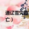 通遼雪災致1人死亡情況（通遼雪災致1人死亡）
