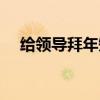 給領導拜年短信范文（給領導拜年短信）