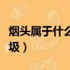 煙頭屬于什么垃圾分類標識（煙頭屬于什么垃圾）