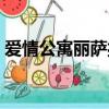 愛情公寓麗薩扮演者（愛情公寓麗薩扮演者）