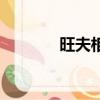 旺夫相視頻（旺夫相的特征）
