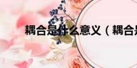 耦合是什么意義(耦合是什么意思)