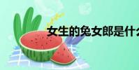 女生的兔女郎是什么味道?