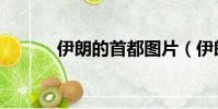 伊朗的首都圖片(伊朗的首都)