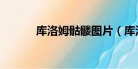 庫洛姆骷髏圖片(庫洛姆骷髏)