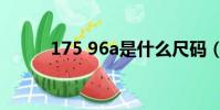 175 96a是什么尺碼(175 96a)