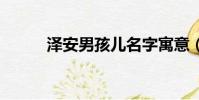 澤安男孩兒名字寓意(zea組合)