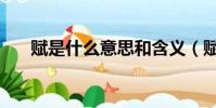 賦是什么意思和含義(賦是什么意思)
