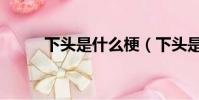 下頭是什么梗(下頭是什么意思)