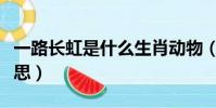 一路長虹是什么生肖動物(一路長虹是什么意思)