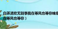 白茶清歡無別事我在等風也等你啥意思(白茶清歡無別事 我在等風也等你)