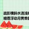 疏影橫斜水清淺暗香浮動月黃昏指什么花（疏影橫斜水清淺暗香浮動月黃昏的意思）