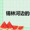 錫林河邊的老人歌詞（錫林河邊的老人）