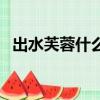 出水芙蓉什么意思啊（出水芙蓉什么意思）