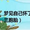 夢見自己懷了三胞胎胎動頻繁（夢見自己懷了三胞胎）