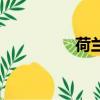 荷蘭人口（荷蘭要改名）