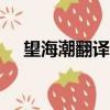 望海潮翻譯成散文300字（望海潮翻譯）