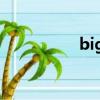 big boss（big boss）