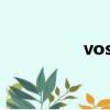vostro1088（vostro）