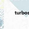 turbosidi發動機（turbosun）