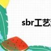 sbr工藝流程詳解（sbr工藝流程）