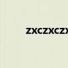 zxczxczxc1231231（zxczxczxc）