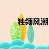 獨領風潮電影在線觀看（獨領風潮）