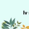 lv 老花盒子（lv 老花）