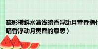 疏影橫斜水清淺暗香浮動月黃昏指什么花(疏影橫斜水清淺暗香浮動月黃昏的意思)