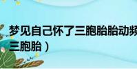 夢見自己懷了三胞胎胎動頻繁(夢見自己懷了三胞胎)