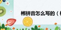 郴拼音怎么寫的(郴拼音)