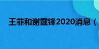 王菲和謝霆鋒2020消息(王菲和謝霆鋒)