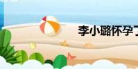 李小璐懷孕了