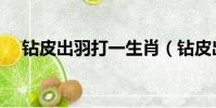 鉆皮出羽打一生肖(鉆皮出羽打一生肖)