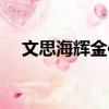 文思海輝金信是國企嗎（文思海輝金信）