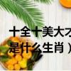 十全十美大才子是什么意思（十全十美大才子是什么生肖）