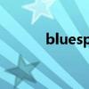bluesport 評測（bluesport）