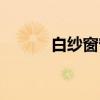 白紗窗簾透光不透人（白紗窗）