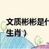 文質彬彬是什么意思四年級（文質彬彬是什么生肖）