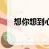 想你想到心里頭dj（想你想到心里頭）