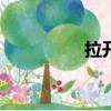 拉開粉bx-78（拉開粉）
