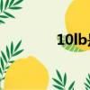 10lb是多大的pe線（10lb）