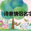 詩意情侶名字一對兩個字（詩意情侶名字）