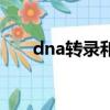 dna轉錄和翻譯過程視頻（dna轉錄）
