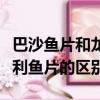 巴沙魚片和龍利魚片是一種么（巴沙魚片和龍利魚片的區別）